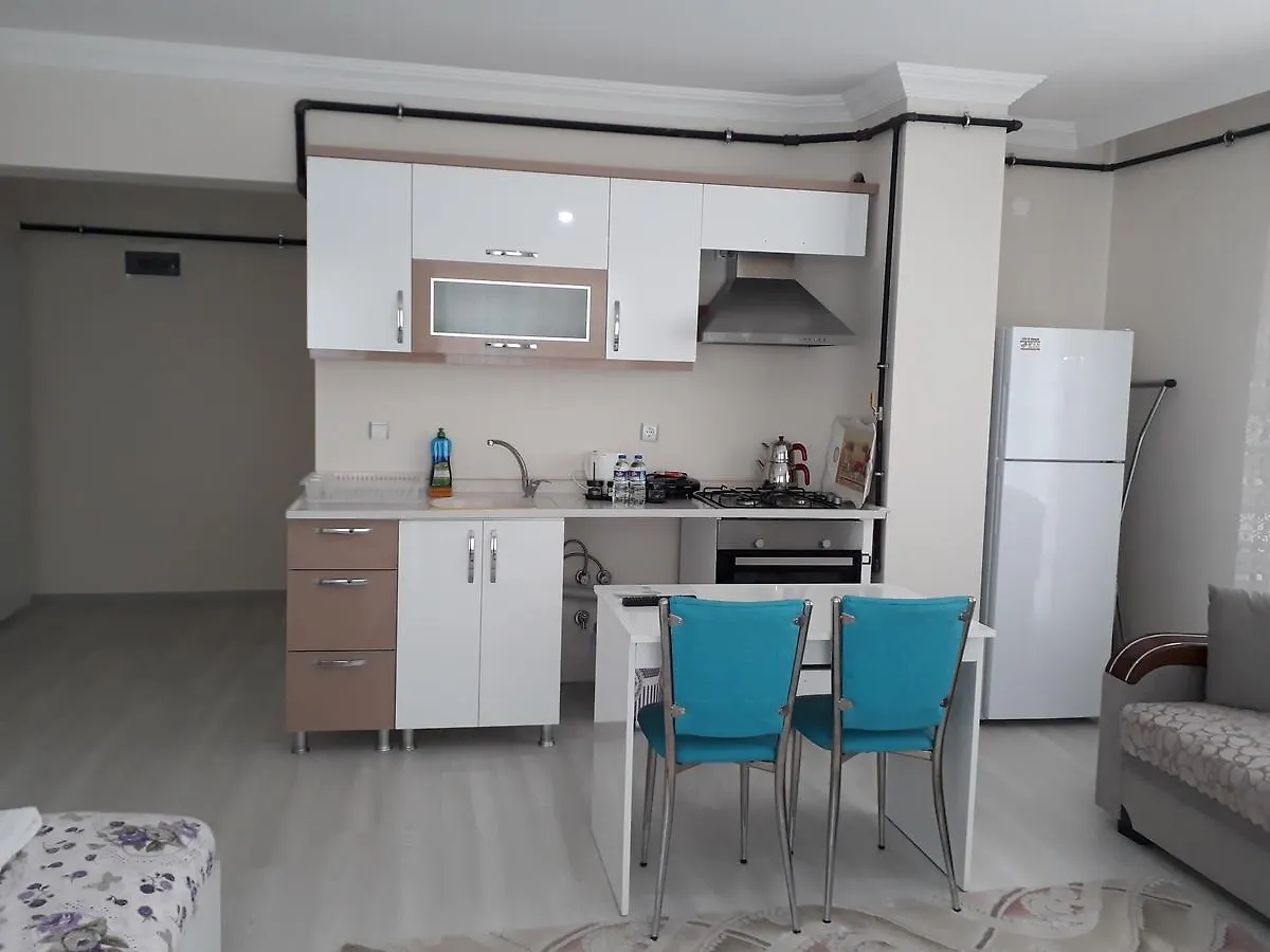 Dr Aslan Apart Hotel Esenboga 0*,